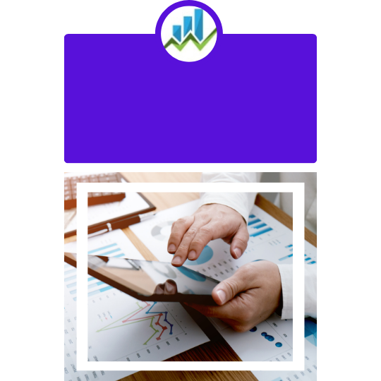 Neonsolz Audit & taxation