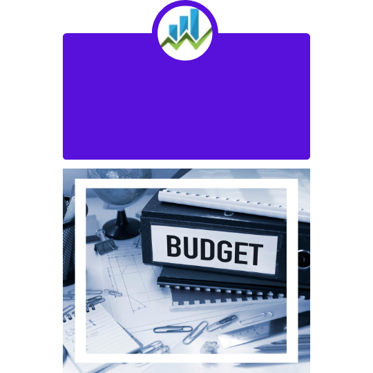 Neonsolz Budget & Forcasting