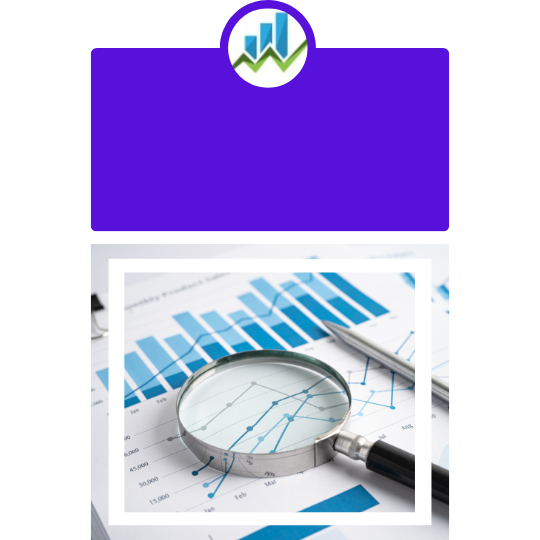 Neonsolz Payroll Reporting